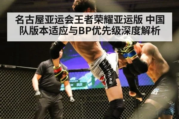 名古屋亚运会王者荣耀亚运版 中国队版本适应与BP优先级深度解析（jiuyou game）