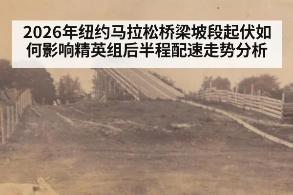 2026年纽约马拉松桥梁坡段起伏如何影响精英组后半程配速走势分析